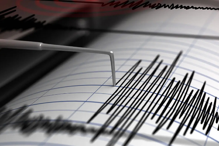 Análisis de vulnerabilidad sísmica